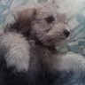 Profilbild von Nathan