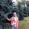 marilyn grable's profile picture