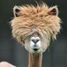 Mike's profile picture
