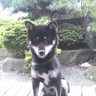 Profilbild von すぷひろ