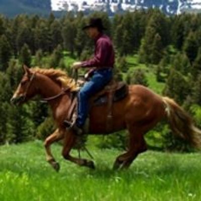 Bridger Livestock's profile picture