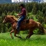Bridger Livestock's profile picture