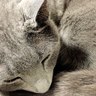 もじゃ profil fotoğrafı