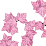 Фото профиля Pink Ivy League