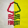 Profilbild von Nottingham Forest Brasil 🌳🇧🇷