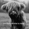 HereToHelp's profile picture