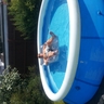 Profilbild von bob miles