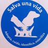Kay Mastretta profil fotoÄrafı