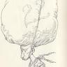 Фото профиля chris riddell