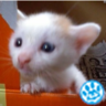 まー。 profil fotoğrafı