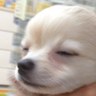 12年's profile picture