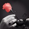 م ب ع ث ر's profile picture