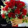 نور العين profil fotoğrafı