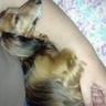 Sheryl G's profile picture