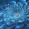 تغريد 的头像