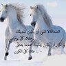 Фото профиля غادة حسين بن شحبل