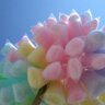Profilbild von CottonConnie