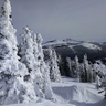 wheels0218's profile picture