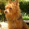 Profilbild von Christopher Knight