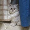 Profilbild von ひろくん