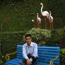 Naveen Thapliyal's profile picture