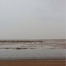 عزك's profile picture