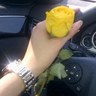 مزااااااااجيه 的头像