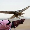 وقف ووادعني profil fotoğrafı