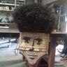 Alo_tweet profil fotoğrafı