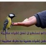 ﮼١٧٢٧م £mohammed£ 的头像