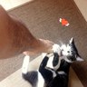 YtoP サンルイ profil fotoğrafı