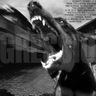 evildogz profil fotoğrafı