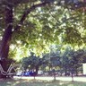 w w ☘️ profil fotoğrafı
