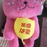旅にゃんころ代表代行(本格旅行再開前)'s profile picture