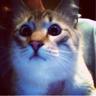 GSN's profile picture