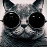 Tak's profile picture