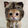 tatata's profile picture