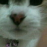 かよ's profile picture
