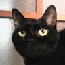 Profilbild von はなぴこ