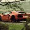 Some Damn Nice Cars. 的头像