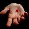 Profilbild von The Red Pill