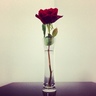 فهد آل دهيم's profile picture