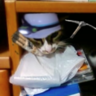 管理人管理人(かんまさと、こと小野博和) profil fotoğrafı