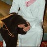 عبدالله's profile picture