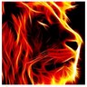 Profilbild von B-HAV