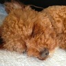 kaka・since2008@NY911's profile picture
