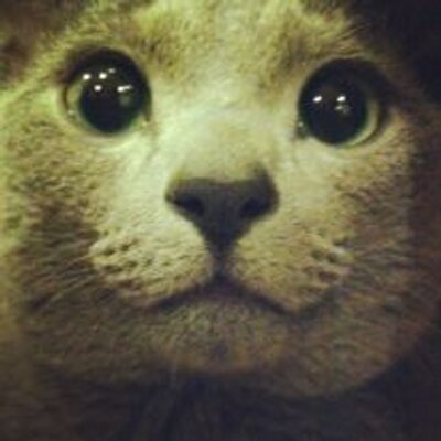 yuandundun's profile picture