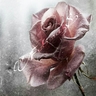 رحيق الورد's profile picture