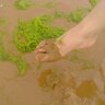 哲哥 的头像