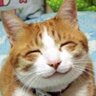 Profilbild von stevenlovely